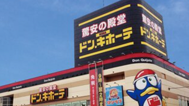 �A�N�A���C�X �h���L